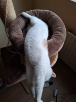 /album/26-02-2026/whatsapp-image-2026-02-26-at-17-53-46-3-jpeg/